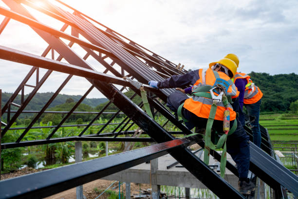 Best Gutter Installation and Roofing  in Rancho Alegre, TX