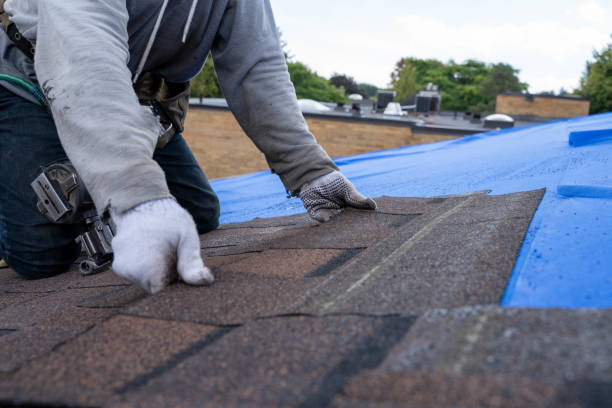 Best Metal Roofing Contractor  in Rancho Alegre, TX