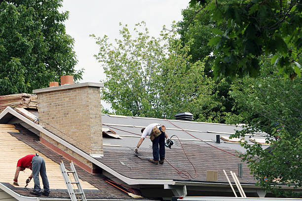 Best New Roof Installation  in Rancho Alegre, TX