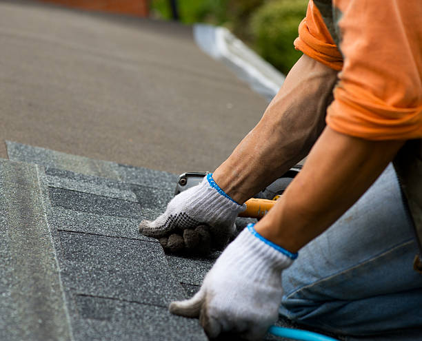 Best Local Roofing Companies  in Rancho Alegre, TX