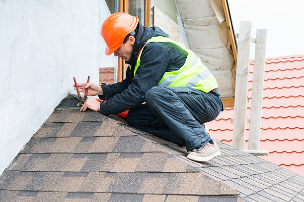 Best Roof Gutter Cleaning  in Rancho Alegre, TX