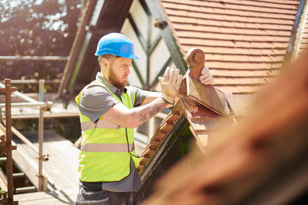 Best Roof Gutter Cleaning  in Rancho Alegre, TX